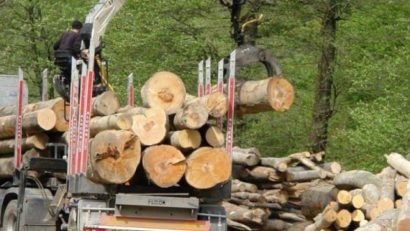 Aproape 200 de metri cubi de lemn au fost confiscați în Mureș în cadrul acțiunii ”Scutul pădurilor”