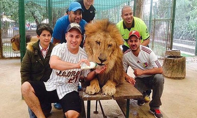 „Selfie” cu animalele de la Zoo „Selfie” cu animalele de la Zoo
