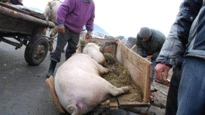 Inspectorii sanitari verifică toate târgurile şi pieţele
