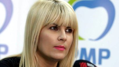 Udrea nu mai vrea sefia PMP