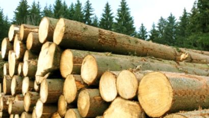 Apa minerală şi lemnul sunt mărfurile cele mai exportate în 2014, în judeţul Harghita
