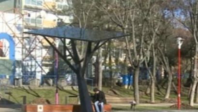 La Timişoara există un copac hi-tech. Cum arată?