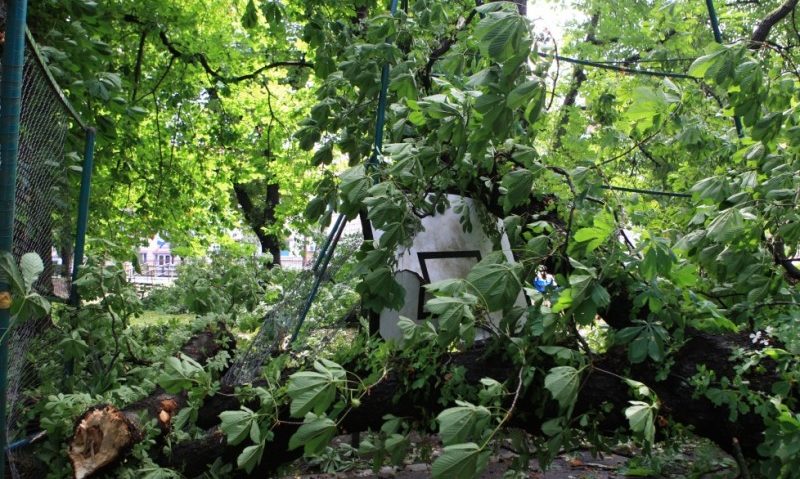 Furtunile de noaptea trecută au produs pagube în mai multe zone din centrul şi vestul României. Furtunile de noaptea trecută au produs pagube în mai multe zone din centrul şi vestul României.