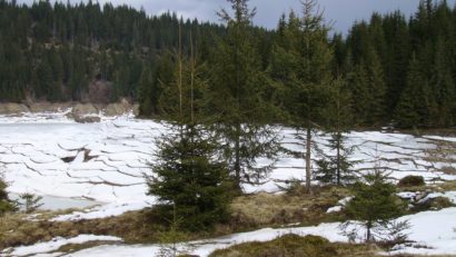 Vremea se încălzeşte în Transilvania