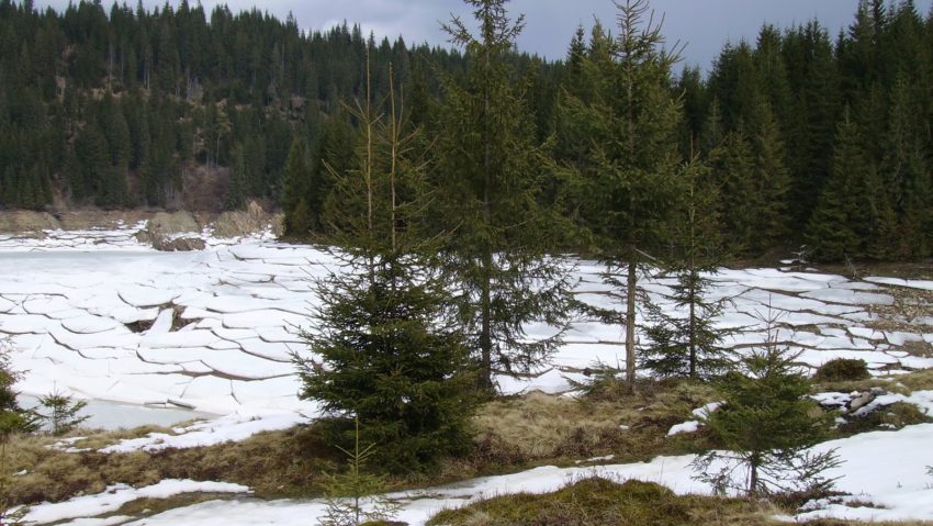 Vremea se încălzeşte în Transilvania Vremea se încălzeşte în Transilvania