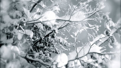 Temperaturi extrem de scăzute în această dimineaţă în Transilvania