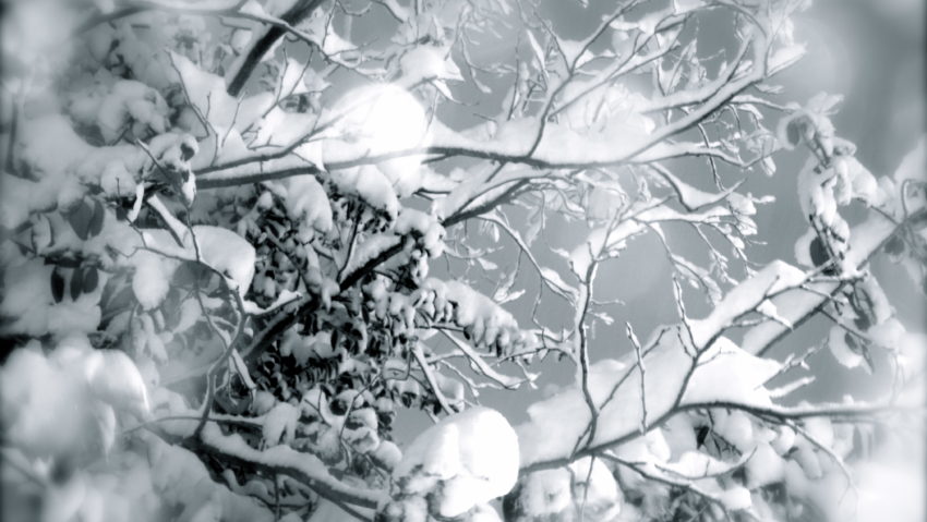 Temperaturi extrem de scăzute în această dimineaţă în Transilvania Temperaturi extrem de scăzute în această dimineaţă în Transilvania
