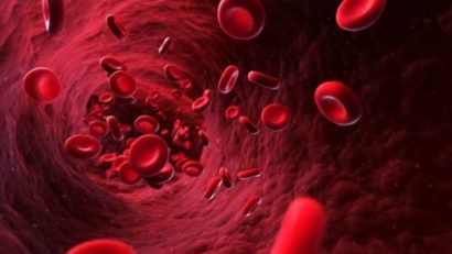 Performanţă medicală unică: recrearea plămânului cu celule stem