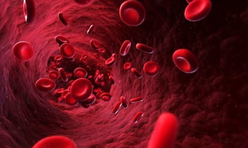 Performanţă medicală unică: recrearea plămânului cu celule stem Performanţă medicală unică: recrearea plămânului cu celule stem