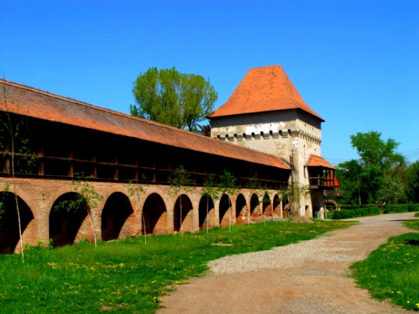 Expoziție privind valorificarea siturilor arheologice din Mureş