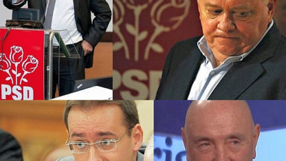 Instanţa Supremă judecă azi primul termen în dosarul retrocedării ilegale de păduri