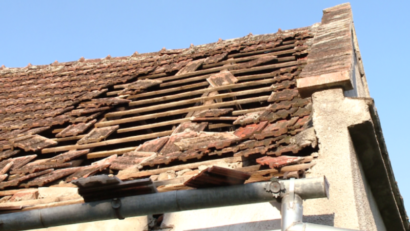 Pagube produse de vijelii, în judeţele Hunedoara şi Braşov