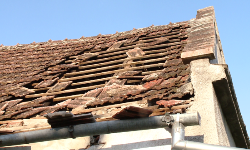 Pagube produse de vijelii, în judeţele Hunedoara şi Braşov Pagube produse de vijelii, în judeţele Hunedoara şi Braşov