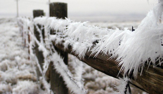 Minus 31,7 grade Celsius la Întorsura Buzăului, în noaptea de Anul Nou