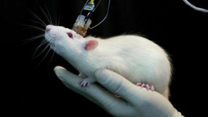 Un implant ar putea permite oamenilor paralizaţi să meargă din nou