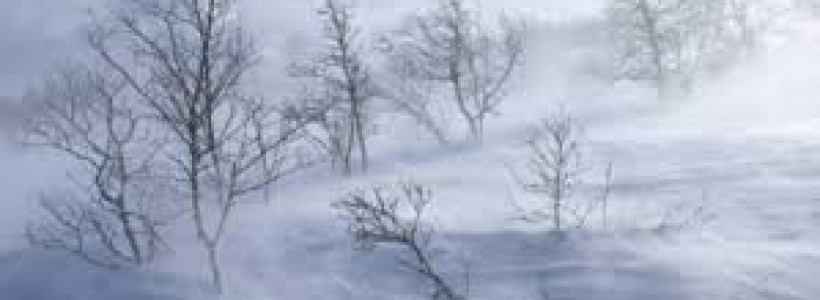 Ninsorile şi vântul puternic revin de astăzi în zona de munte Ninsorile şi vântul puternic revin de astăzi în zona de munte