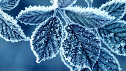 Minus 25 de grade Celsius la Miercurea Ciuc, cea mai scăzută temperatură din ţară