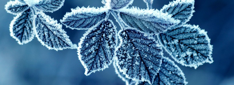 Minus 25 de grade Celsius la Miercurea Ciuc, cea mai scăzută temperatură din ţară