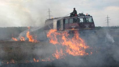 Regulile care trebuie respectate la igienizarea terenurilor de vegetaţia uscată
