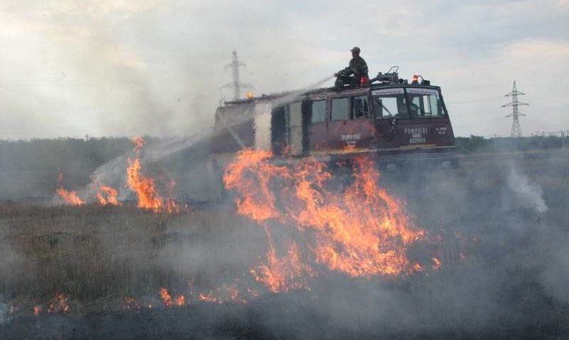 Regulile care trebuie respectate la igienizarea terenurilor de vegetaţia uscată Regulile care trebuie respectate la igienizarea terenurilor de vegetaţia uscată