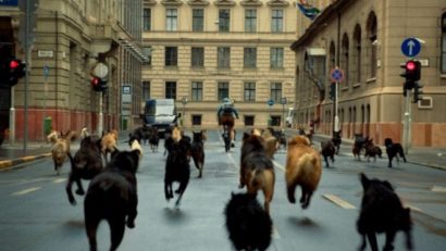 Zilele Filmului Maghiar, pentru a 5-a oară la Tîrgu Mureş