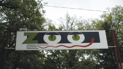 Gratuități pentru doamnele și domnișoarele din Tîrgu-Mureș