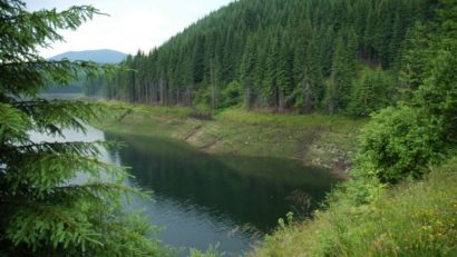 Plantări de puieţi de „Luna Pădurii” în județul Mureș