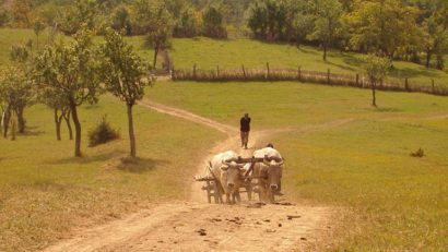 „Pe cărarea dorului” cu Andrei Romanică