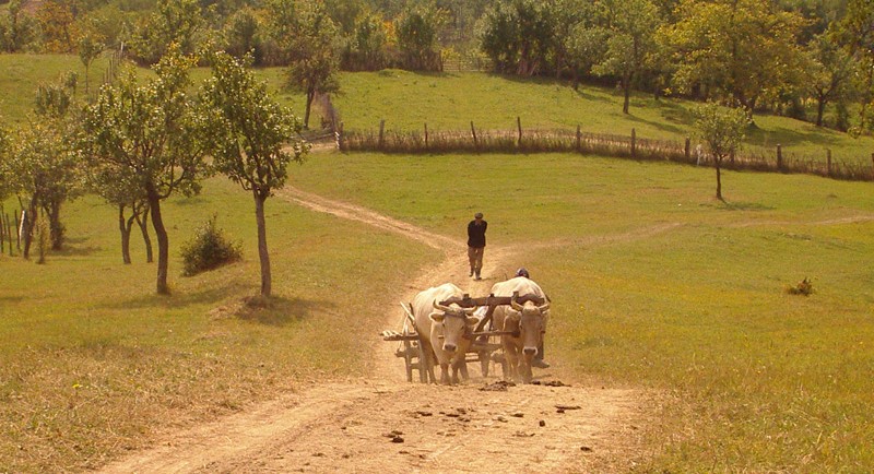 „Pe cărarea dorului” cu Andrei Romanică