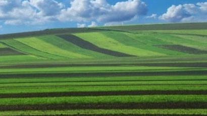 11 persoane sunt inculpate în dosarul Nana