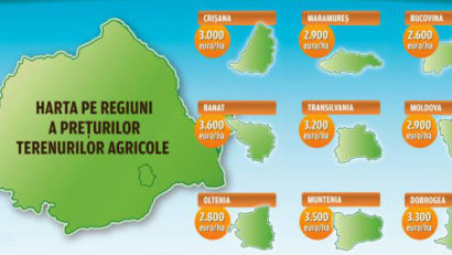 Cu cât se vinde un hectar de pământ. Harta pe regiuni a preţurilor la terenurile agricole