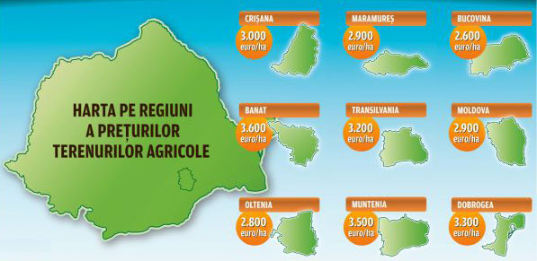 Cu cât se vinde un hectar de pământ. Harta pe regiuni a preţurilor la terenurile agricole Cu cât se vinde un hectar de pământ. Harta pe regiuni a preţurilor la terenurile agricole