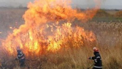 Sancțiunile contravenționale pentru incendierea vegetației uscate nu au efect