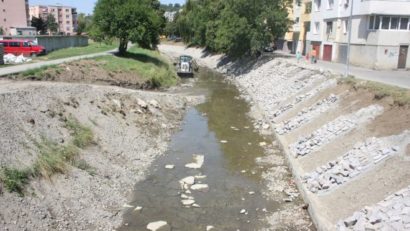 Deţinuţii de la Penitenciarul Tîrgu-Mureş participă astăzi la o acţiune de ecologizare
