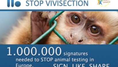 UE va analiza interzicerea experienţelor pe animale