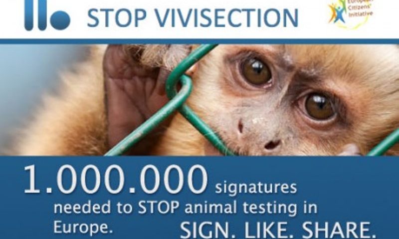 UE va analiza interzicerea experienţelor pe animale UE va analiza interzicerea experienţelor pe animale
