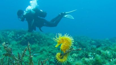 Cinci destinaţii turistice cu cea mai limpede apă din lume
