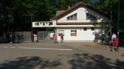 Personalul de la Zoo Tîrgu-Mureş, instruit de experţi internaţionali