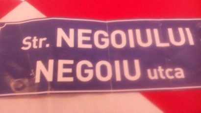 Plângere penală pe numele şefului Poliţiei Locale Tîrgu-Mureş