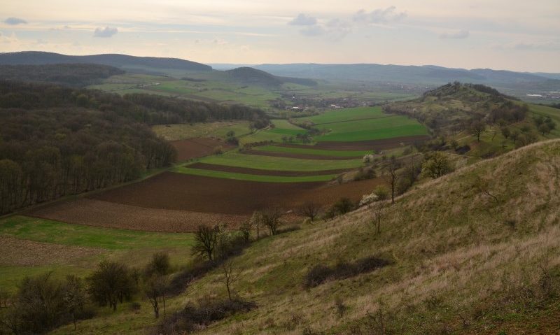 Fermierii din regiunile Târnavei Mici și Valea Nirajului vor învăța cum se face o agricultură prietenoasă cu mediul Fermierii din regiunile Târnavei Mici și Valea Nirajului vor învăța cum se face o agricultură prietenoasă cu mediul