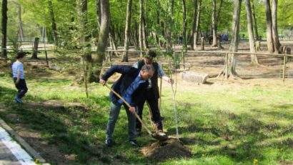 Târgumureșenii, invitați să planteze copaci și flori în propriul oraș