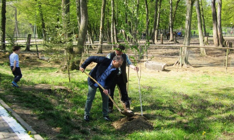 Târgumureșenii, invitați să planteze copaci și flori în propriul oraș Târgumureșenii, invitați să planteze copaci și flori în propriul oraș