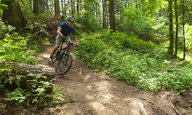 Bike Park Postăvarul, în Poiana Brașov Bike Park Postăvarul, în Poiana Brașov
