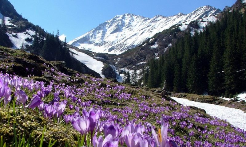 Vremea se va menține deosebit de rece cel puțin o săptămână, în Transilvania Vremea se va menține deosebit de rece cel puțin o săptămână, în Transilvania