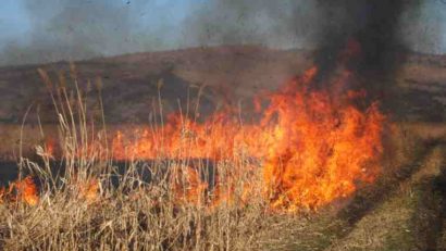 Autorităţile harghitene fac apel la cetăţeni să renunţe la practica folosirii focului pentru curăţarea terenurilor de vegetaţie uscată