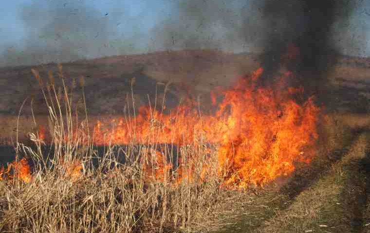 Autorităţile harghitene fac apel la cetăţeni să renunţe la practica folosirii focului pentru curăţarea terenurilor de vegetaţie uscată Autorităţile harghitene fac apel la cetăţeni să renunţe la practica folosirii focului pentru curăţarea terenurilor de vegetaţie uscată