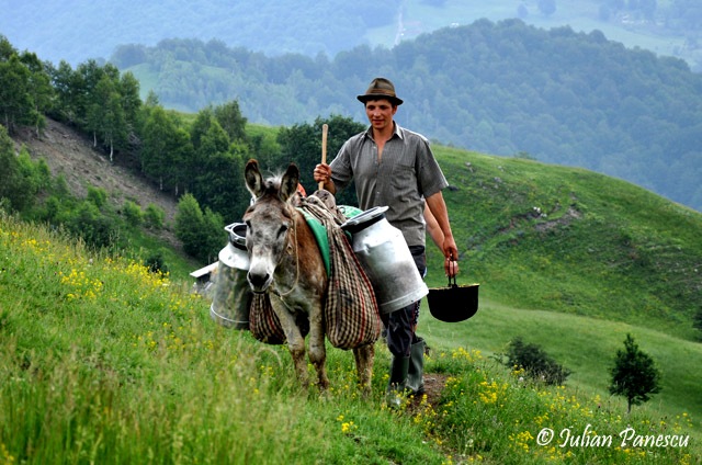 Pe cărarea dorului cu Andrei Romanică Pe cărarea dorului cu Andrei Romanică