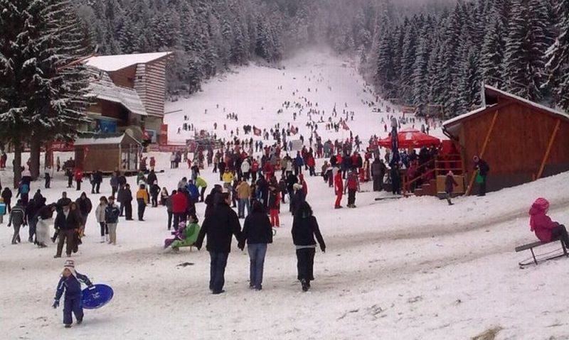 Iepurașul a venit pe schiuri, în Poiana Brașov Iepurașul a venit pe schiuri, în Poiana Brașov