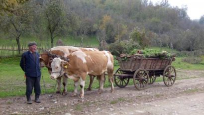 „Pe cărarea dorului” cu Andrei Romanică