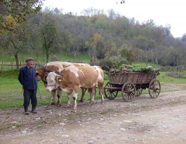 „Pe cărarea dorului” cu Andrei Romanică „Pe cărarea dorului” cu Andrei Romanică